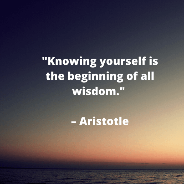 36 Quotes Prove Self Awareness Is The Solution To Your Problem Dennector